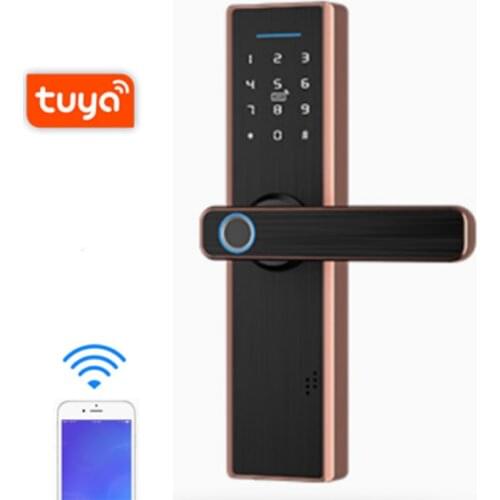 Qleung S804 High Quality Remote Control Smart WIFI Tuya TTlock Lock Smartphone Fingerprint Door Lock