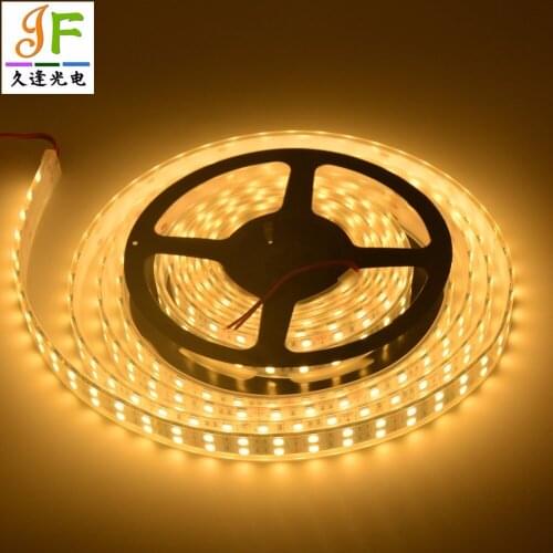 100M 20x5M DC12V 5050 Double Row 5050 LED Strip IP30 IP67 Waterproof in silicon tube 120LEDs/m Flexible White PCB WarmCool White