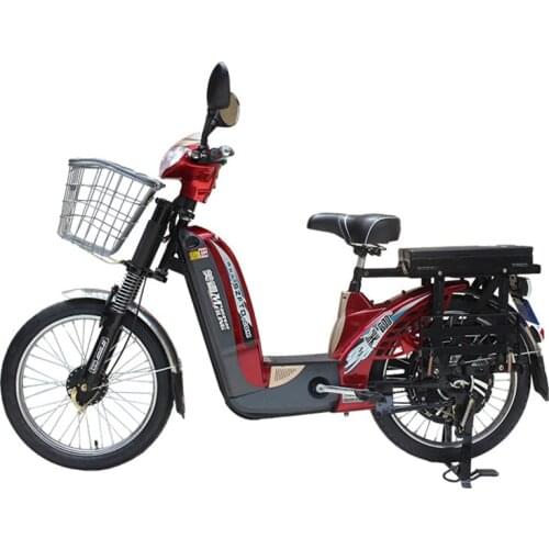 Electric Bicycle 22 Inches 350W Brushless Motor 48v12Ah Removable Battery Ebike