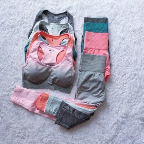 Seamless Yoga Set Womens Sportswear Gym Clothing Workout Fitness Suit Shockproof Gathered Running Yoga Bra High Waist Legging