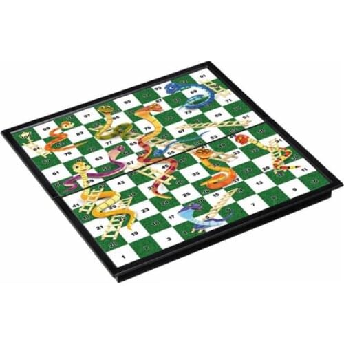 Magnetic Snakes and Ladders Set 9.8" W3181