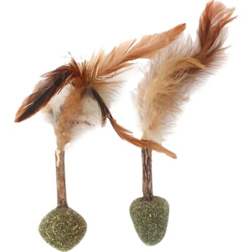 2pcs Catnip Ball Set Cat Treat Toys Snack Self-Adhesive Rotated Catnip Ball Cats Wall Mount Molar Teething Toy For Cats Ball