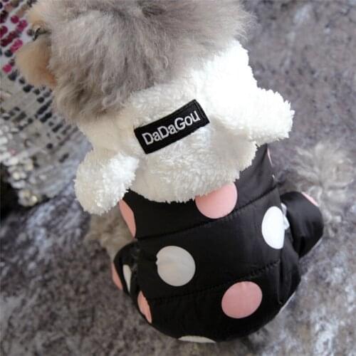 Winter Dog Clothes Big Polka Dot Cotton Hoodie Coat Coat Thicken Winter Warm Clothes for Small Dogs Puppy Sweater Dogs Pets