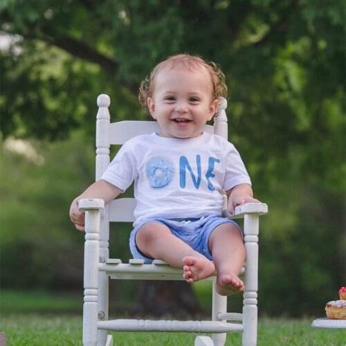 Blue Sweet Dessert Donuts themed boy one year old 1st first birthday party high chair decoration shirt gift present Photo props
