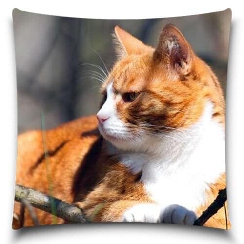 Cute Cat Cotton Polyester Pillow Case For office/bedroom/chair seat cushion 5 size Decorative