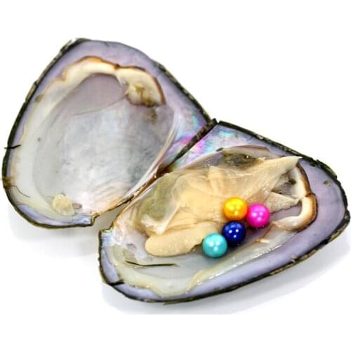 Mini Monster 3-10 Pearls in One Oyster Freshwater Oysters with 4 Vibrant Round Pearls 6-7MM Random Mixed Pearl Quad Oyster FP425