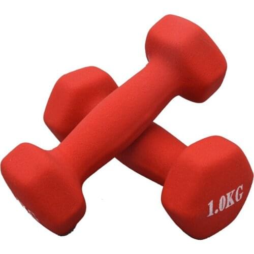 Dumbbells Ladies Childrens Fitness Dipped Plastic Coated Color 1KG Dumbbells Matte Smooth Hexagonal Dumbbells Fitness Equipment