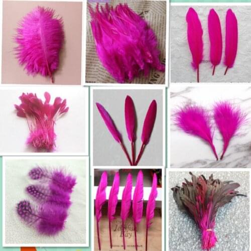 20pcs15 kinds Mei red of Beautiful Rooster feathers 5-30cm pheasant chicken plume for DIY Party Craft decoration