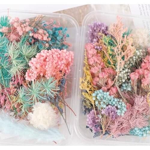 Mix Beautiful Real Dried Flowers Natural Floral for Art Craft Scrapbooking Resin Jewelry Craft Making Epoxy Mold