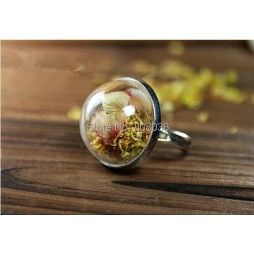 SALE Free Shipping 20sets/lot half ball 20mm DIY Vintage Style Clear Sphere Bottle Ring / Glass Terrarium Globe & Ring