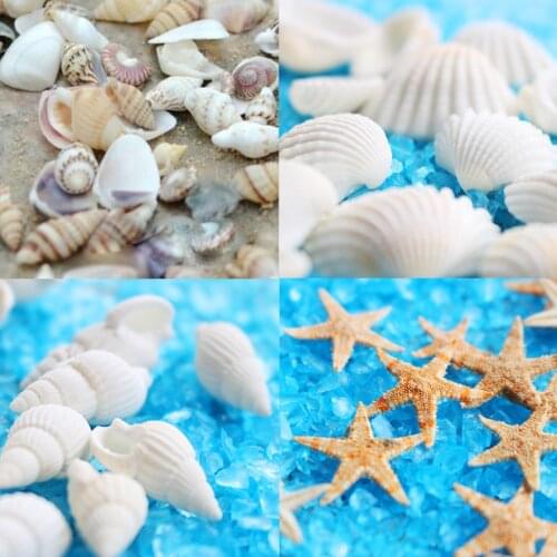 40piece mini 1cm starfish natural sea shell beads mixed size jewelry findings glass vial pendant glass globe filler