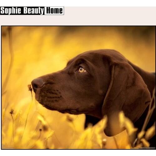 Наборы для вязания Sophie Beauty Home China At AliExpress