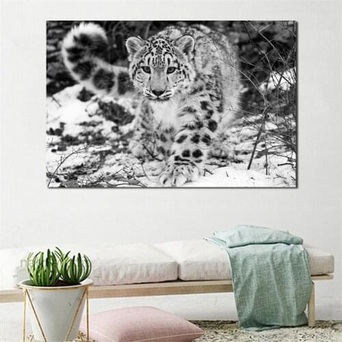Wild Animal Snow Leopard Canvas Painting Print Living Room Home Decor Modern Wall Art Oil Painting Poster Salon Pictures Artwork