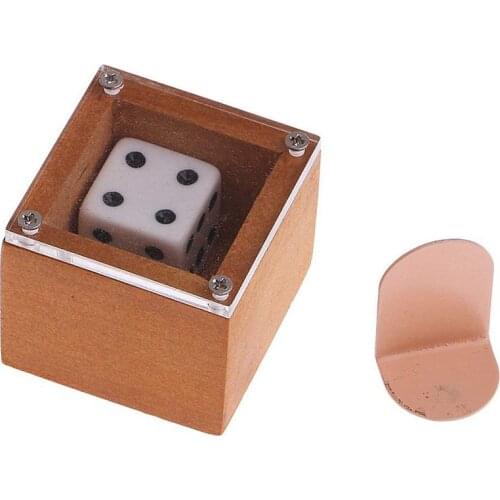 Predicting Magic Shows - Dice in the Box, Stage Magic Tips