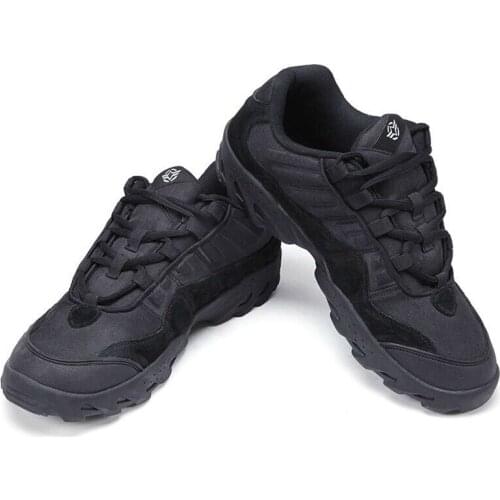 Pave Hawk Basketball Shoes