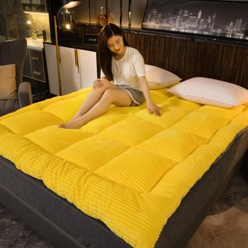 Mattress Thick Velvet Mattress Autumn and Winter Plush Thick Warm Bed Cushion Cushion Student Dormitory Single Double