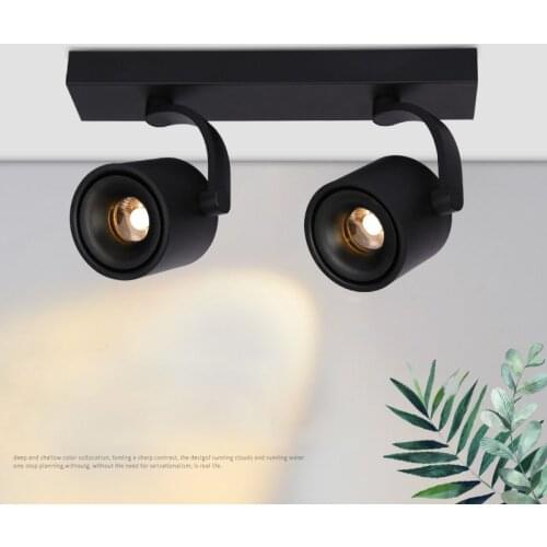 Dimmable LED Wall Mounted Downlight 2X12W 2X15W 2X20W COB Spot light Double Head Ceiling Track Lamp Surface Mounted Down light