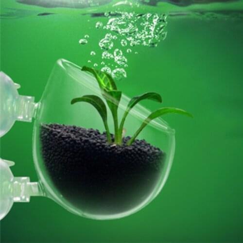 Fish Tank Mini Crystal Glass Pot New Aquaculture Cup Decoration Polka Water Potted Aquatic Planting Cylinder Cup