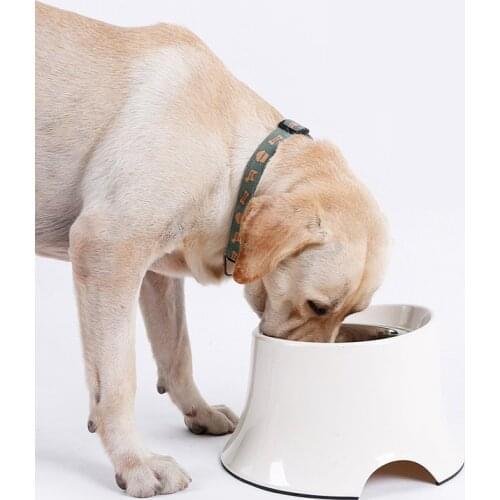 Dog Feeder Drinking Bowls for Dogs Cats Pet Food Bowl Comedero Perro Miska Dla Psa Gamelle Chien Chat Voerbak Hond D2030