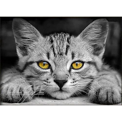 5D DIY Diamond Painting Cat Full Square Diamond Embroidery Sale Animals Cross Stitch Rhinestones Art Hobby Gift Home Decor CV529