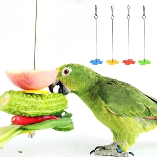 Pet Parrot Fruit Fork Feeding Birds Hang Cage Stainless Steel Parakeet Skewer 2 Size Bird Feeders For Cockatiel
