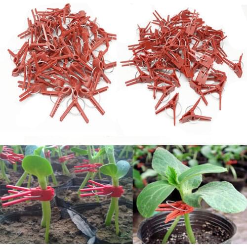 50pcs Round Mouth Plastic grafting Graft clip Garden Plant Support for Vegetable Flower Tomato Stalks Fix Grow Upright Grafting