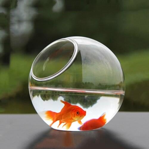 Free Shipping 2pcs/pack Diameter=10cm Middle Size Side Open Glass Terrarium Vase Home Decoration Creative Aquarium Fishbowl