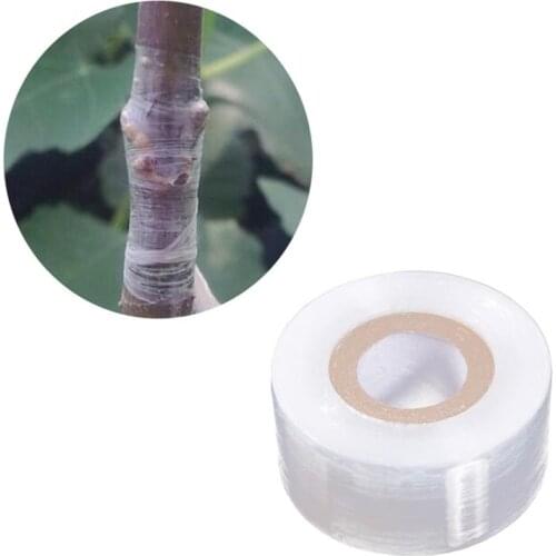 PE Grafting Tape Stretchable Moistureproof Self-adhesive Clear Floristry Film for Pecans Walnuts Citrus Avocado Fruits Tree