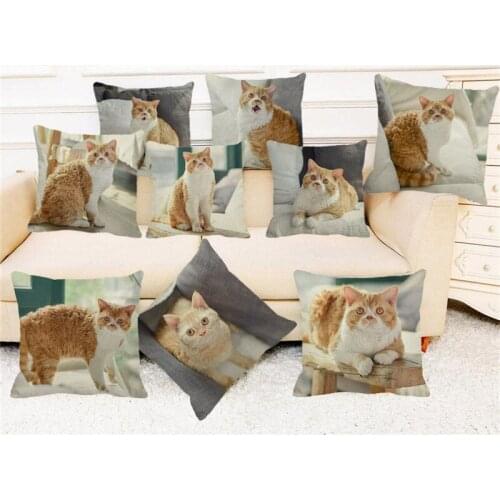 XUNYU Beautiful Selkek Curl cat Cushion Cover 45X45cm Pillow Case Home Decorative Throw Pillowcase Cover for Sofa Car Cojines