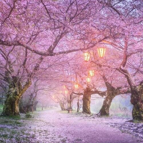 Diamond Painting Cherry Blossom Trail Full Drill Mosaic Diamond Painting Cross Stitch Embroidery Home Decor Pink Tree Scenery