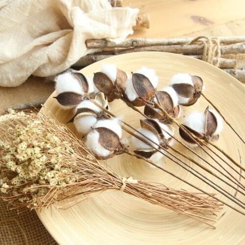 10 Pcs Naturally Dried Cotton Stems Farm house decorative dried Artificial White Cotton Branch DIY Artificial Flower Head