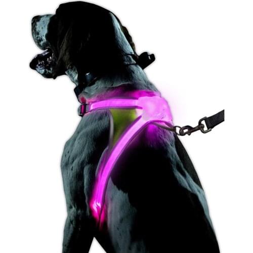 LHUANG Harness Led Dog Collar Revolutionary Illuminated and Reflective Led Dog