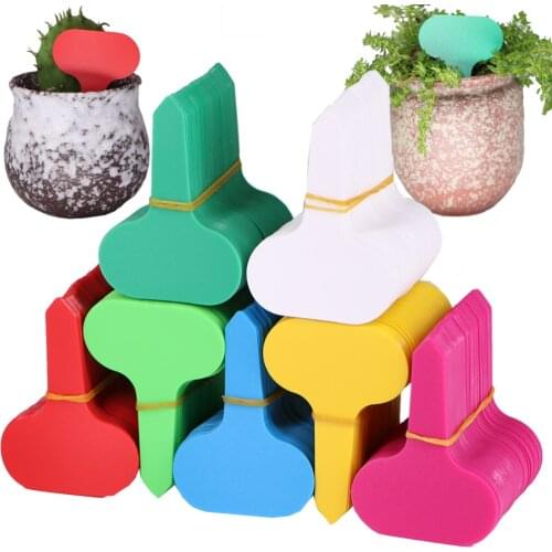 50-70PCS 5x7CM T Shaped Garden Plant Labels Plastic Multicolor Succulent Tags for Seedlings Nursery Sign Potted Flowers Markers