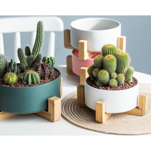 Ceramic Modern Simple Large Creative Wooden Frame Large Diameter Hydroponic Flowerpots and Shelves