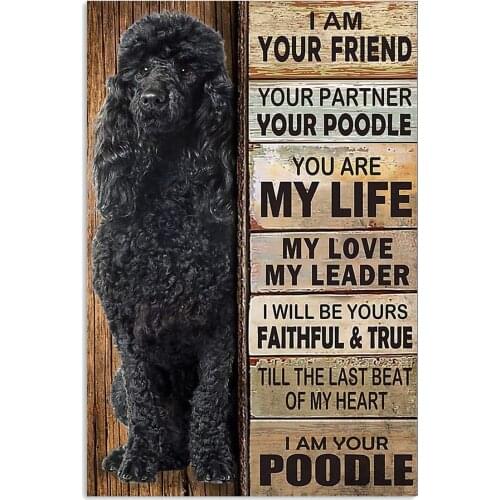 Border Collie Metal Wall Decor Home Bar Accessories Tin Sign Decoration for Home Posters Vintage Metal Plate Beagle Pet Dog