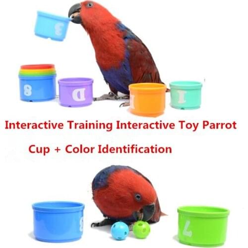 Eco-friendly Colorful Plastic Birds Toy Parrot Training Products Playing Puzzle Toy D407