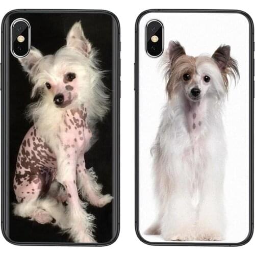 Release Black Waterproof Art Prime Tpu Back Dog Of Breed Chinese Crested For Samsung Galaxy S30 S21 S20 Fe S10 S10E S9 S8 S7 S6