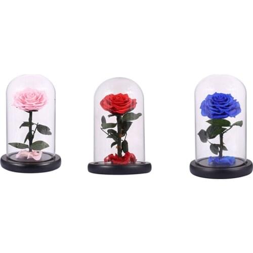 Glass Cover Fresh Preserved Rose Flower Barbed Rose Flores For Wedding Marriage Home Party Decoration ValentineS Day Gift