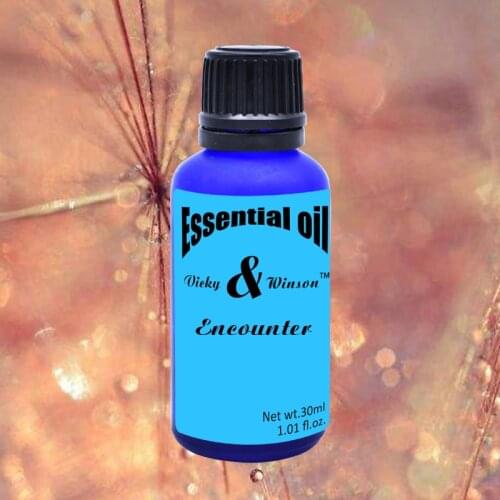 Vicky&winson Encounter aromatherapy essential oils 30ml Water - soluble bedroom office aromatherapy humidifier VWXX22