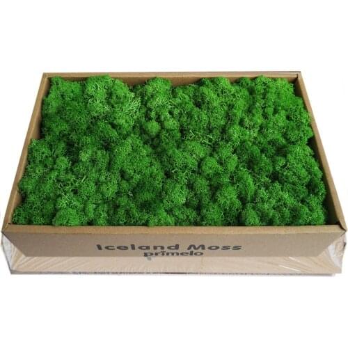 1000g Simulation Plants Eternal Life Moss DIY Flower Material for Garden Home Decor Wall Mini Micro Landscape Fake Moss Gift