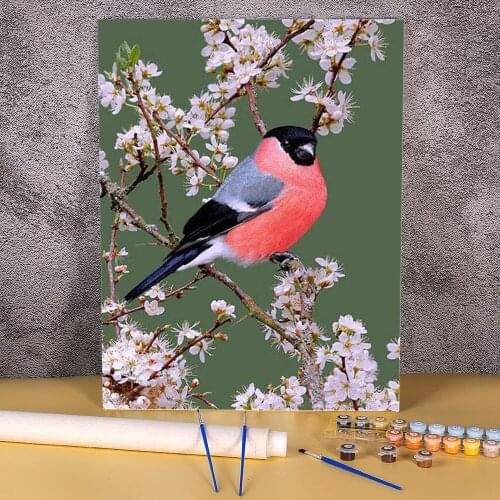 Bird Animal Coloring By Numbers Painting Package Oil Paints 50*70 Picture By Numbers Photo Home Decor Crafts Adults Drawing