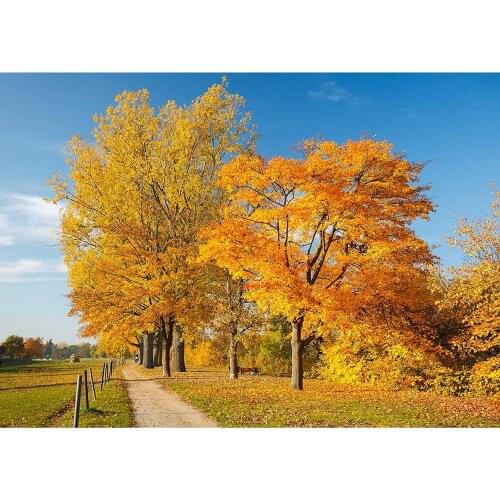 Autumn Yellow Tree Leaves Photography Backdrop For Photo Studio Custom Vinyl Photo Background Baby Children Portrait Backgrounds