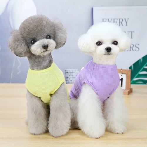 Summer Pure colour Dog Shirt Cotton Casual Pet Vest Comfortable Dog Costume Puppy T-Shirt Breathable Dog Clothes