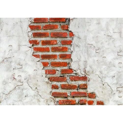 Broken Brick Wall Photo Background Customized Photophone Backdrop for Baby Children Portrait Pet Toy Photocall Photography Props