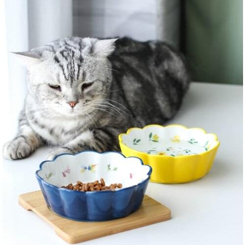 Ceramic Pet Cat Bowl Protect Cervical Cat Dog Food Four Seasons Lace Bowl