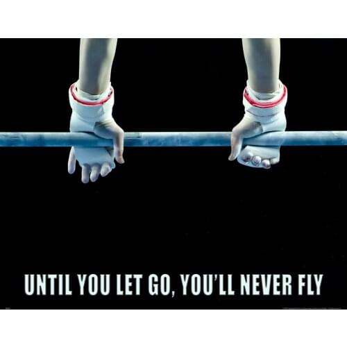 Gymnastics Motivational Never Fly Quote Art Silk Poster Print 24x36inch
