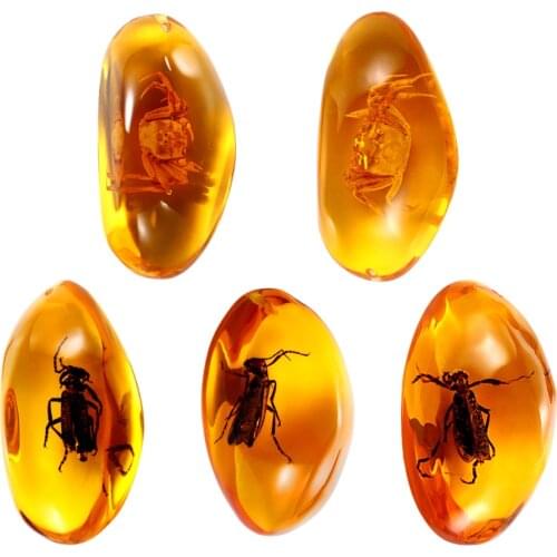 VORCOOL 5pcs Amber Fossil with Insects Samples Stones Crystal Specimens Home Decorations Collection Oval Pendant (Random Pattern