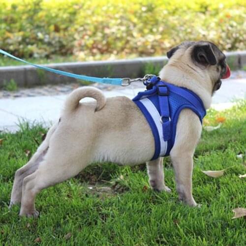 Cat Dog Adjustable Harness Vest Walking Lead Leash For Puppy Dogs Collar Polyester Mesh Harness For Small Medium Dog Cat Pe