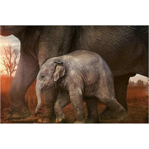 5D Diy Diamond Painting cross stitch elephant Canvas Needlework Home Decoration Full Rhinestone diamond Embroidery Animals