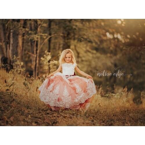 Wedding flower girl dress blush pink custom princess ballet applique lace bow for kids first communion 2020